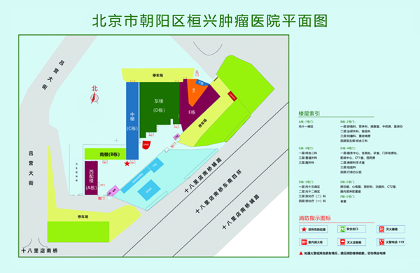 大鸡巴爆操小穴视频北京市朝阳区桓兴肿瘤医院平面图